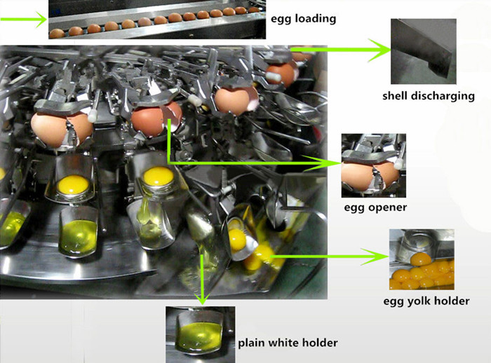 Egg Breaking Machine Working Principles