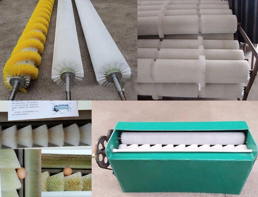 Egg Washing Machine Feature